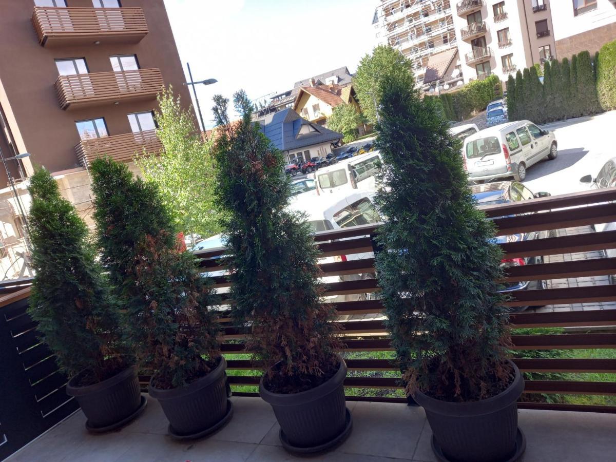 Apartman Oaza Kalman Spa-Gym Zlatibor Extérieur photo